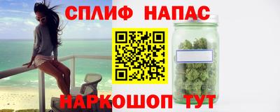 дживик Славгород